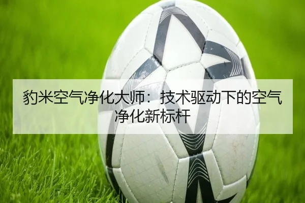 豹米空气净化大师：技术驱动下的空气净化新标杆